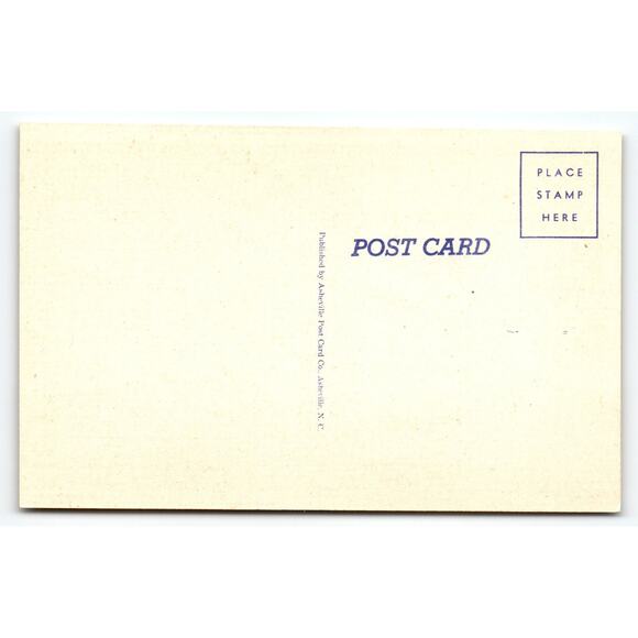 Vintage Linen Busy Person's Correspondence Postcard by Asheville Postcard Co. - Picture 2 of 2